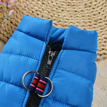Black windproof pet dog coat jacket with padded lining, designed for winter warmth, from TrendyPet's Zone.