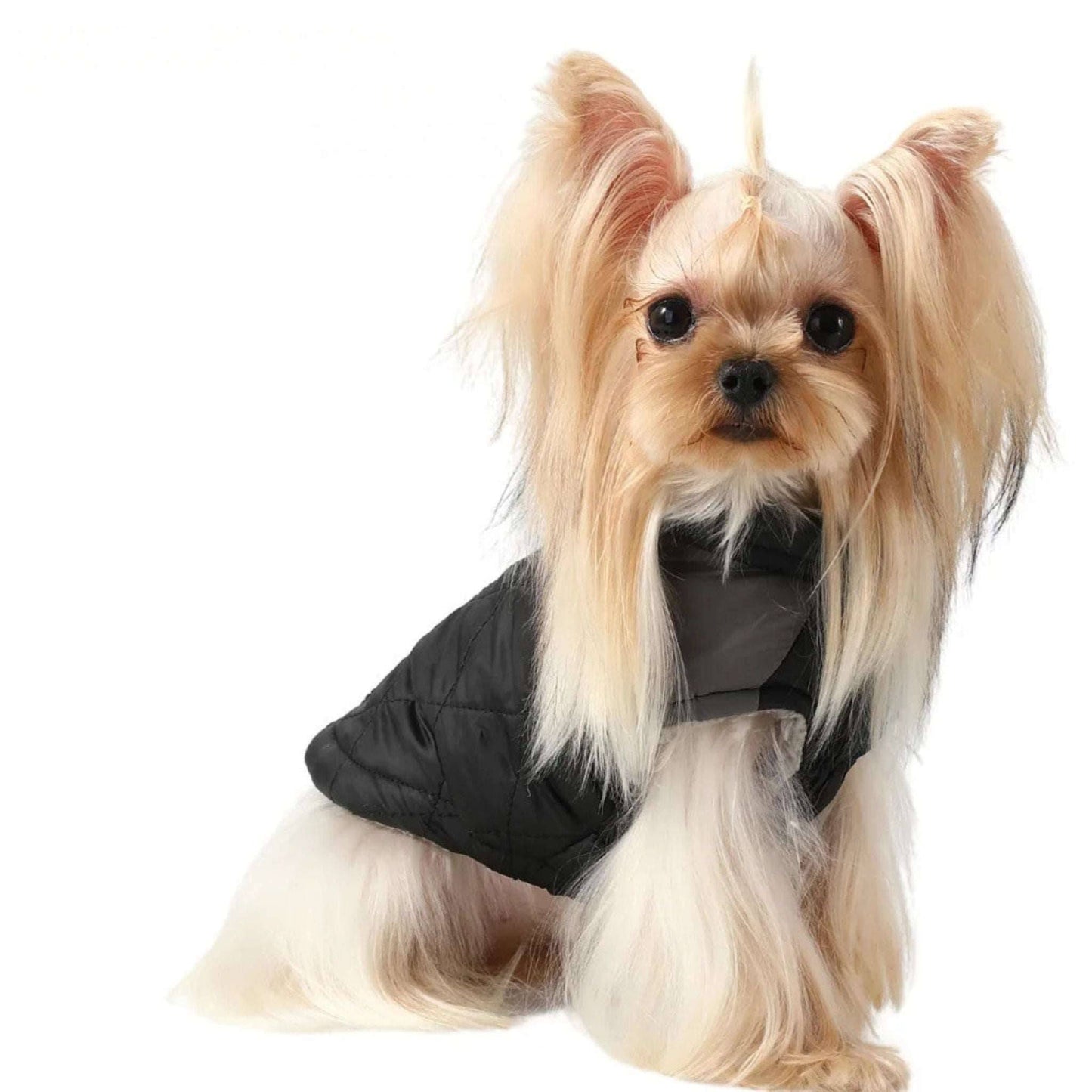 Black Windproof Reflective Dog Jacket Coat Vest with D-ring - TrendyPet's Zone