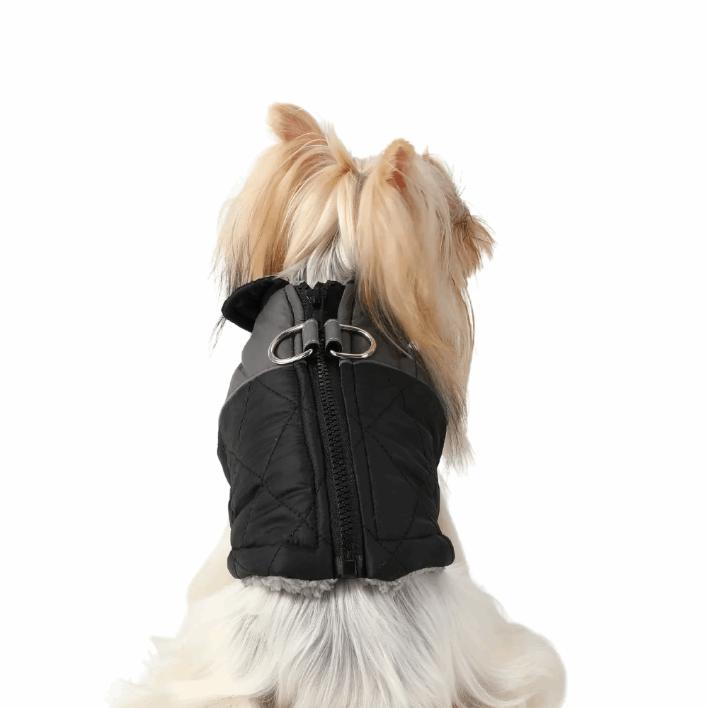 Black Windproof Reflective Dog Jacket Coat Vest with D-ring - TrendyPet's Zone