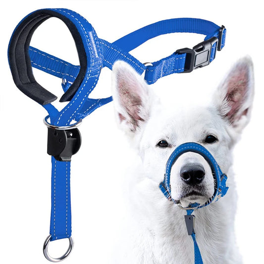 Blue adjustable nylon anti-bark dog muzzle and head halter, designed for training and control by TrendyPet's Zone.