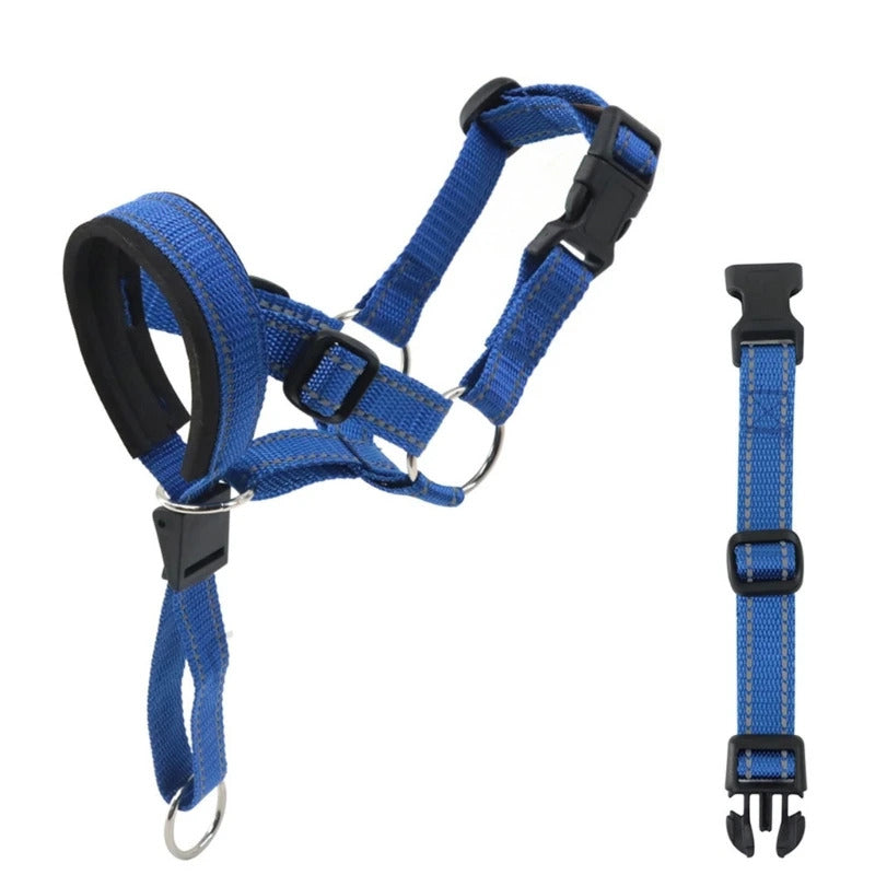 Blue adjustable nylon anti-bark dog muzzle and head halter by TrendyPet's Zone, designed for effective bark control and safety.