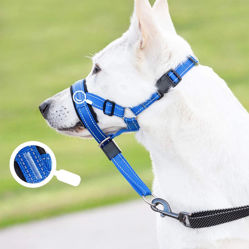 Blue adjustable nylon anti-bark dog muzzle and head halter by TrendyPet's Zone, designed for comfort and control.