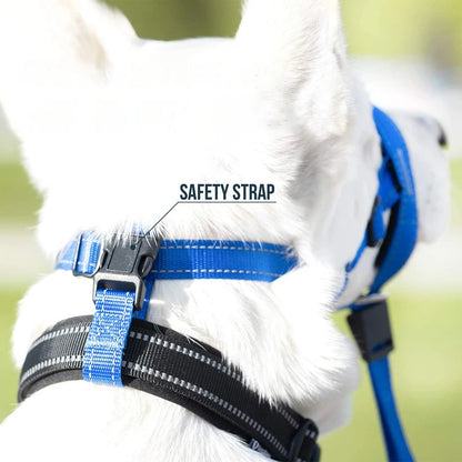 Blue adjustable nylon anti-bark dog muzzle and head halter from TrendyPet's Zone, showing the secure fit and breathable design.