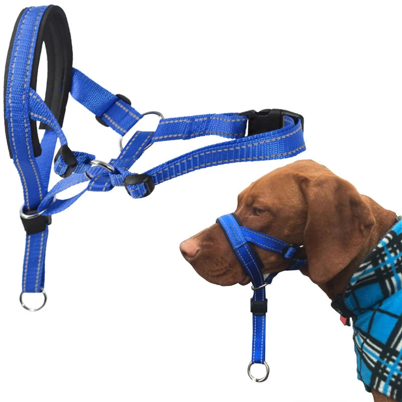 Blue adjustable nylon anti-bark dog muzzle and head halter from TrendyPet's Zone, designed for secure and comfortable fit.