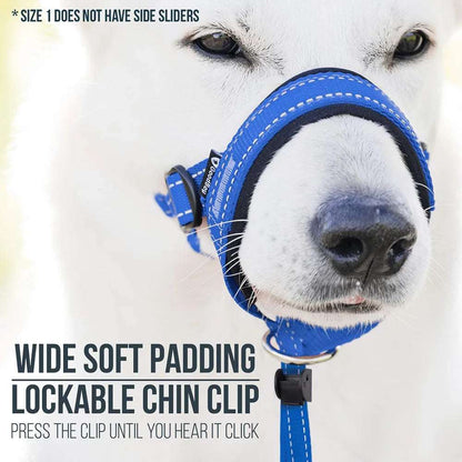 Blue adjustable nylon anti-bark dog muzzle and head halter from TrendyPet's Zone, designed for comfortable control.