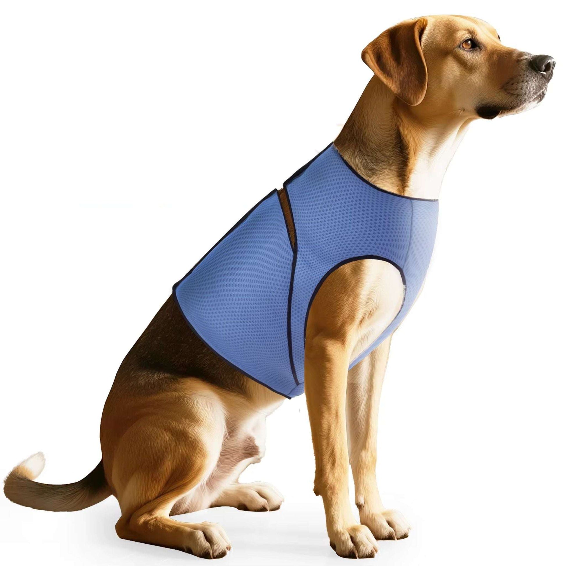 Blue TrendyPet's Zone dog anti-anxiety calming jacket designed for thunder relief, providing comfort and stress reduction.