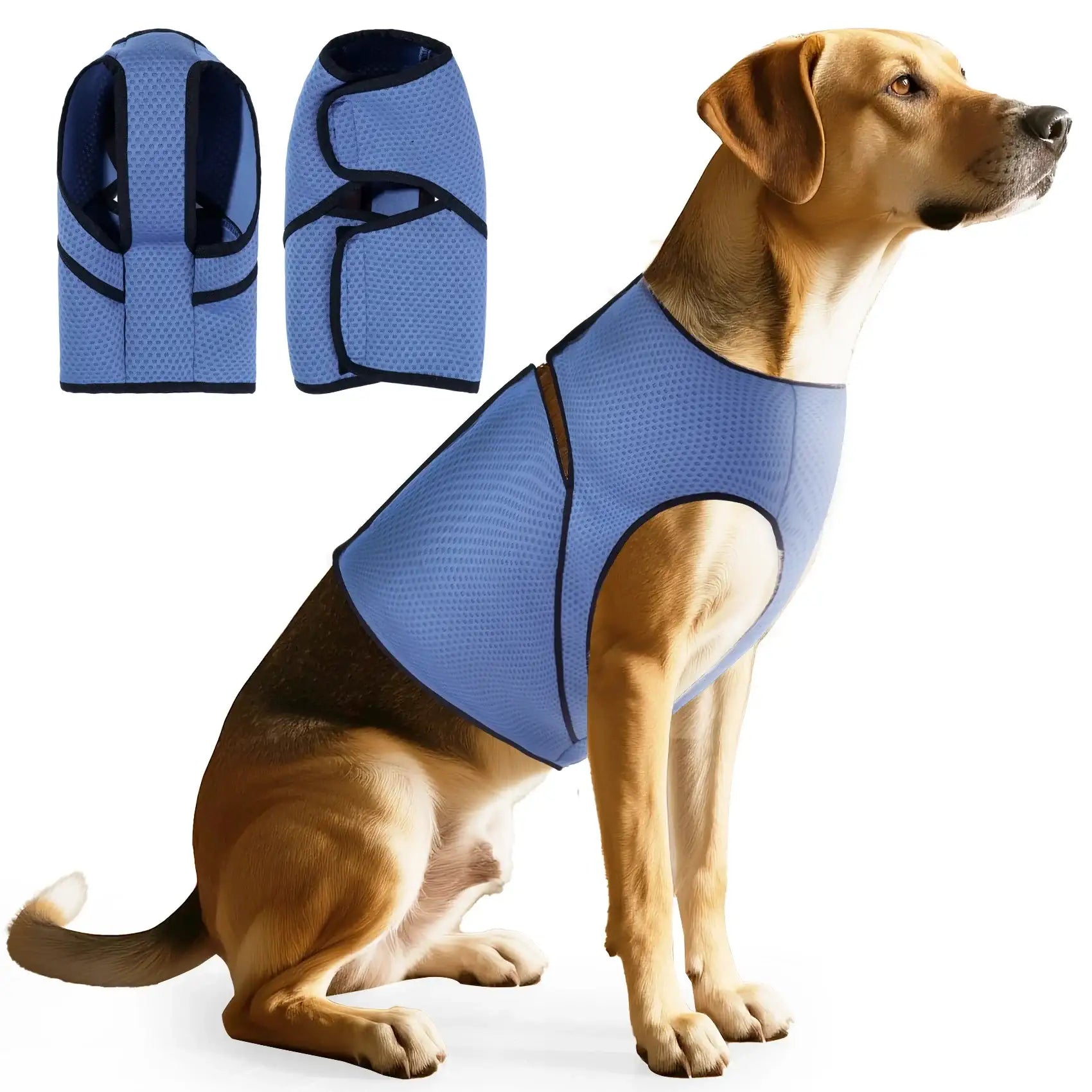 Blue TrendyPet's Zone dog anti-anxiety jacket calming coat designed for thunder relief and anxiety reduction in dogs.