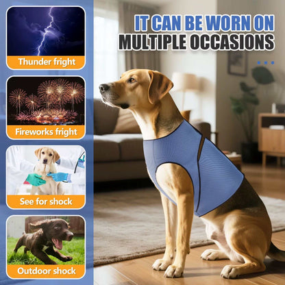 Blue TrendyPet's Zone dog anxiety vest calming coat for thunder relief, designed to reduce stress in dogs during storms.
