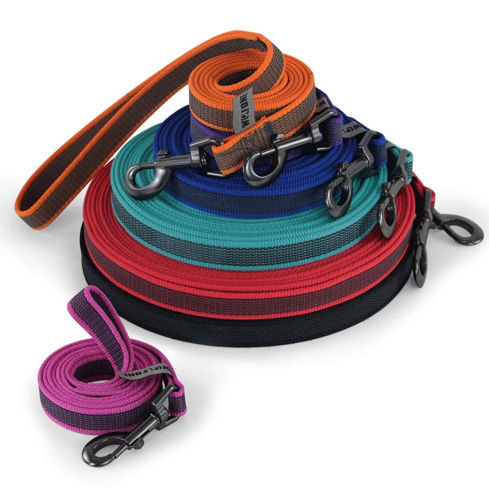 Blue Dog Leash Latex Silk Easy and Convenient Training Big Dual Color - TrendyPet's Zone