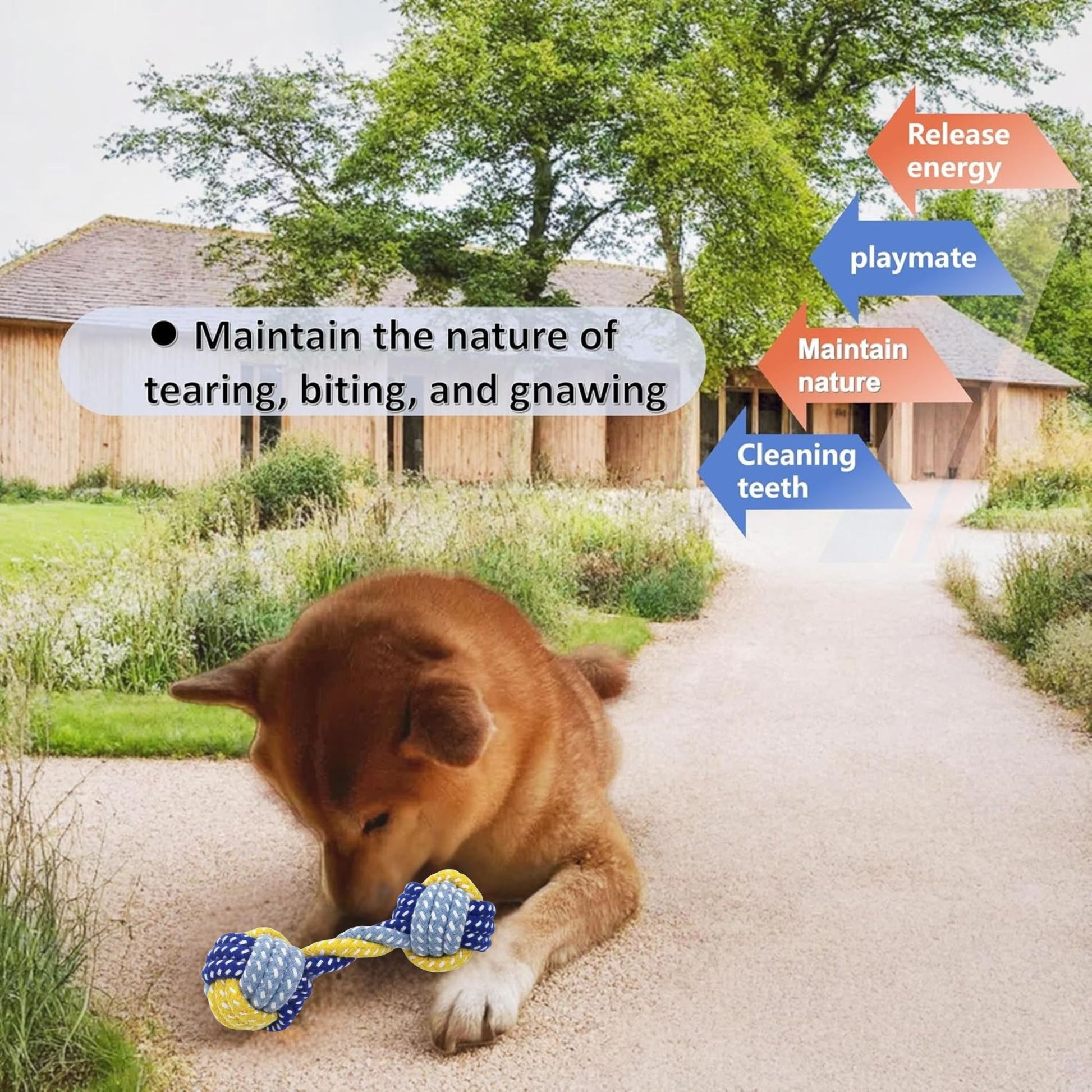 Blue Dumbbell Rope Chew Toy for Puppies Teething & Anxiety Relief TrendyPet's Zone