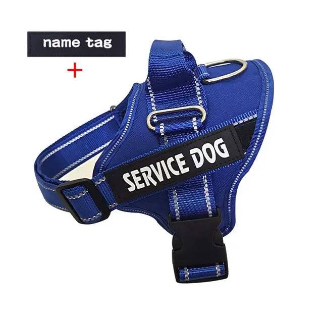 Blue Nylon Reflective Dog Harness Personalized Breathable With ID Patch - TrendyPet's Zone
