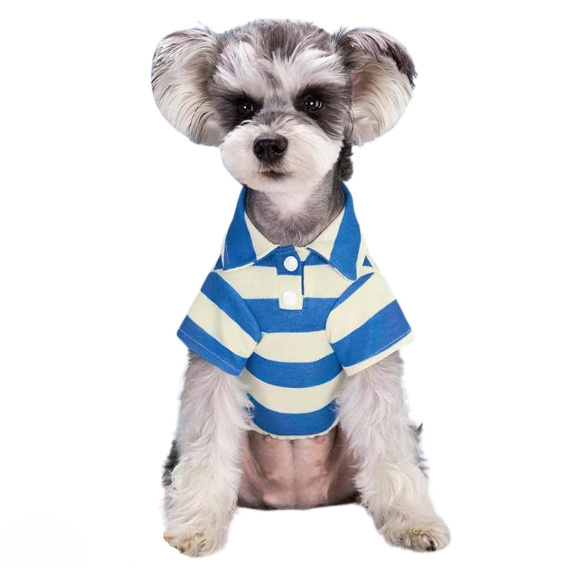 Blue Pet Polo Shirt Summer Dog Clothes Casual Clothing for Small Large Puppy T-shirt Shirts - TrendyPet's Zone