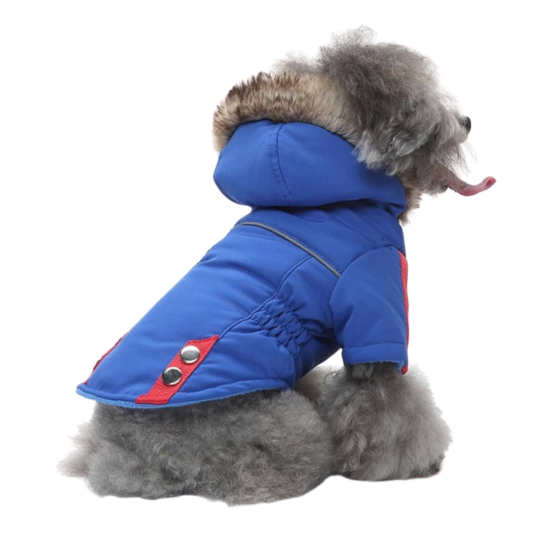 Blue Warm Pet Dog Clothes Winter Jacket Hooded Coat TrendyPet's Zone