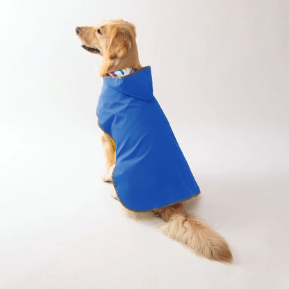 Blue waterproof dog raincoat by TrendyPet's Zone with quick-adjust dual-sided design, shown on a dog for all weather protection.