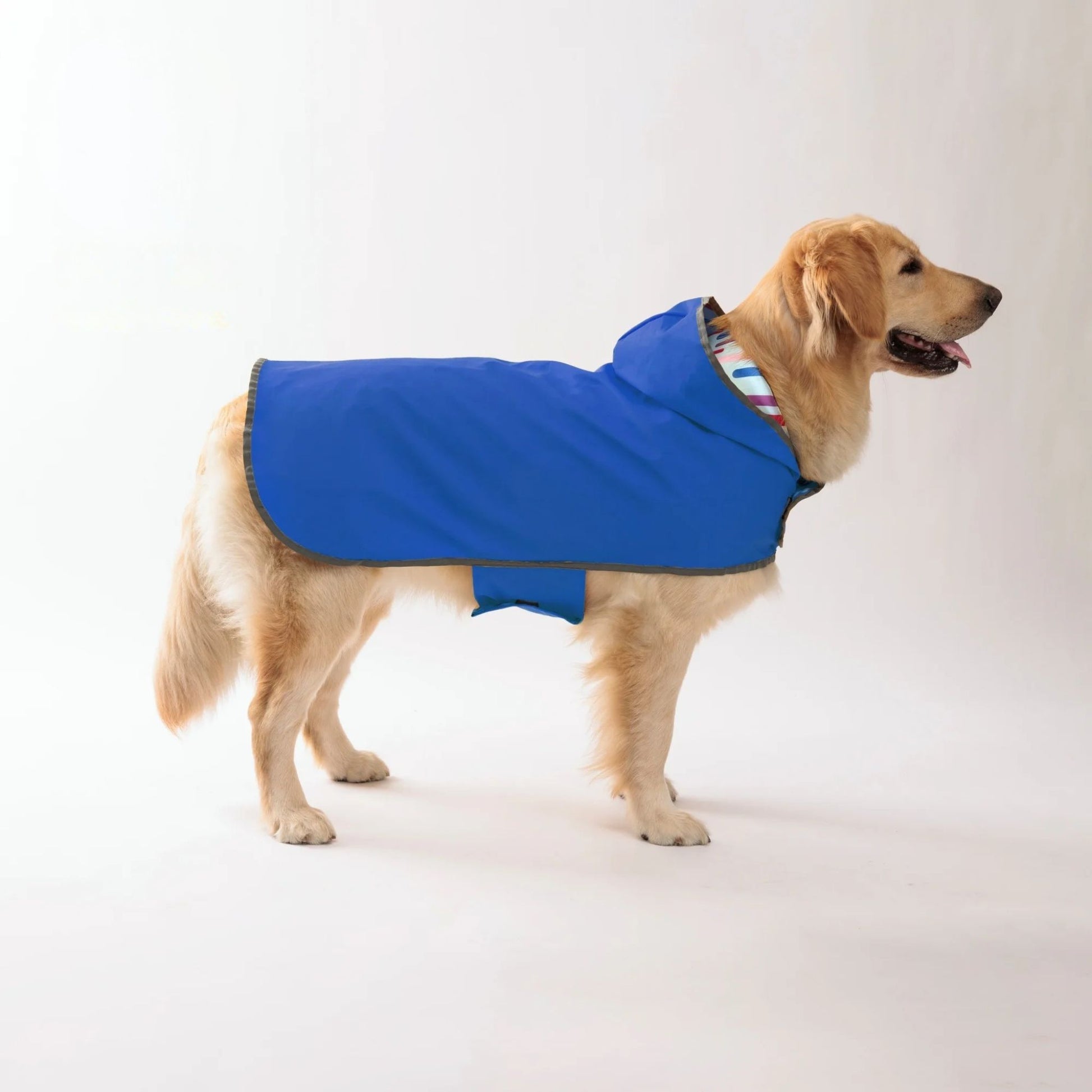 Blue waterproof dog raincoat by TrendyPet's Zone with quick-adjust dual-sided design, shown on a dog ready for all weather conditions.