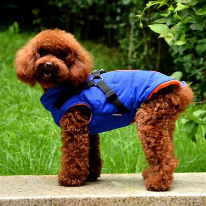 Blue waterproof dog vest jacket with harness, winter coat from TrendyPet's Zone, designed for outdoor warmth and protection.