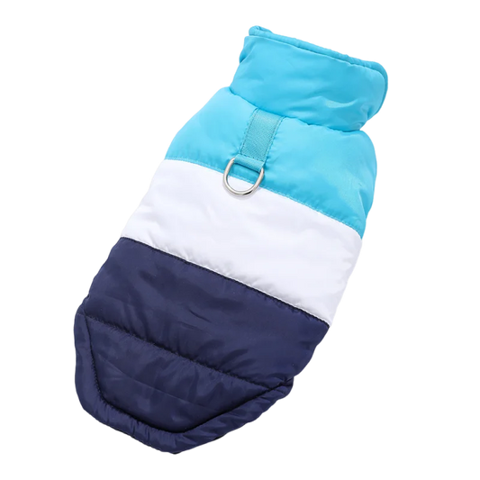 Blue winter dog coat with built-in harness ring, lightweight and warm, from TrendyPet's Zone, designed for outdoor winter walks.