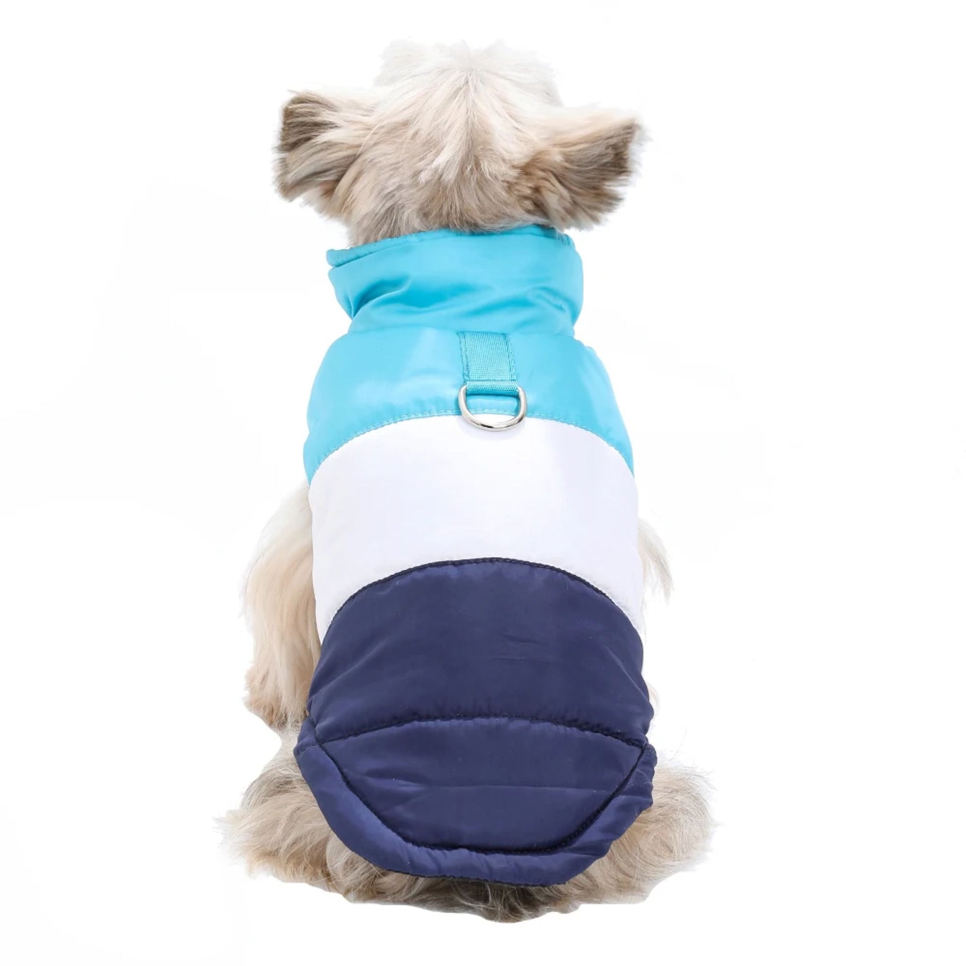 Blue winter dog jacket with built-in harness ring, lightweight and warm, from TrendyPet's Zone, designed for outdoor comfort.