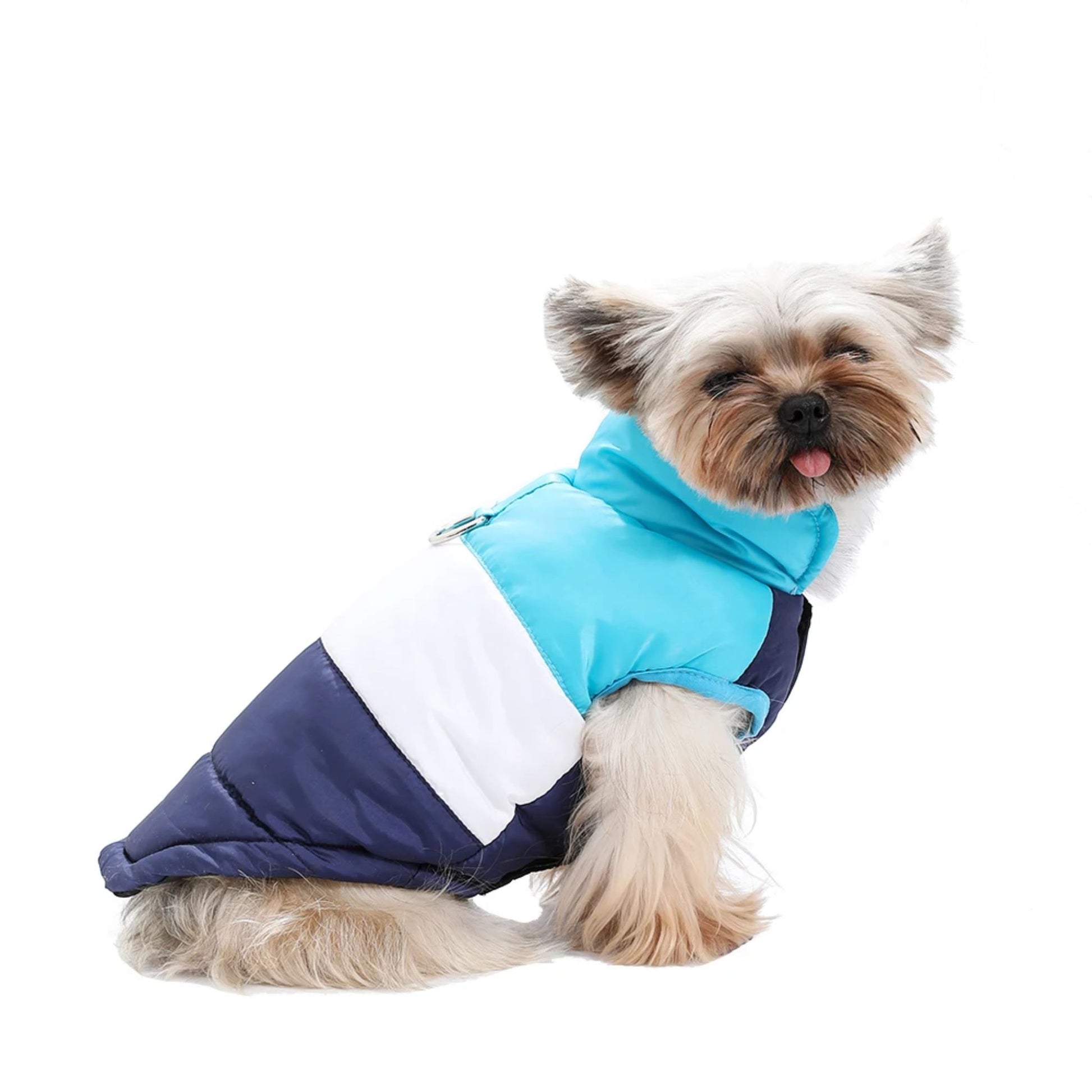 Blue winter dog jacket with built-in harness ring from TrendyPet's Zone, lightweight and warm coat for dogs.