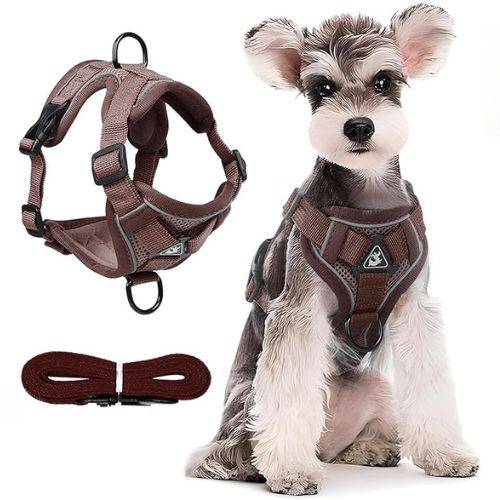 Brown Dog Harness Leash Set Reflective Breathable Vest Adjustable Chest Strap - TrendyPet's Zone