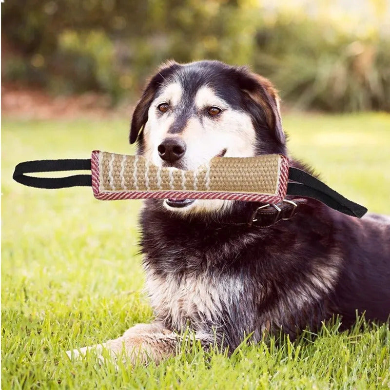 Burgundy dog bite tug toy from TrendyPet's Zone designed for teething relief and dental health, made of durable material.
