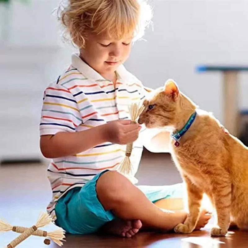 Cat Toys Chew Stick, Kitten Treat Catnip Toy Natural Stuff with Catnip for Cleaning Teeth Indoor Dental - TrendyPet's Zone