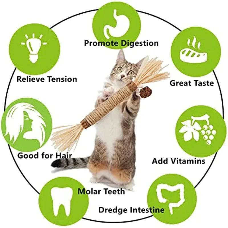 Cat Toys Chew Stick, Kitten Treat Catnip Toy Natural Stuff with Catnip for Cleaning Teeth Indoor Dental - TrendyPet's Zone