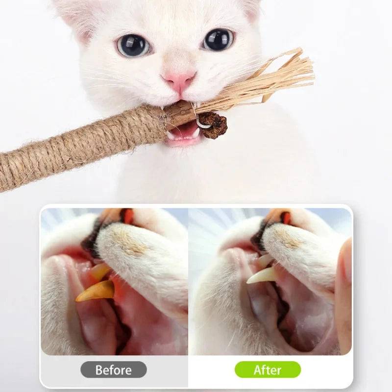 Cat Toys Chew Stick, Kitten Treat Catnip Toy Natural Stuff with Catnip for Cleaning Teeth Indoor Dental - TrendyPet's Zone