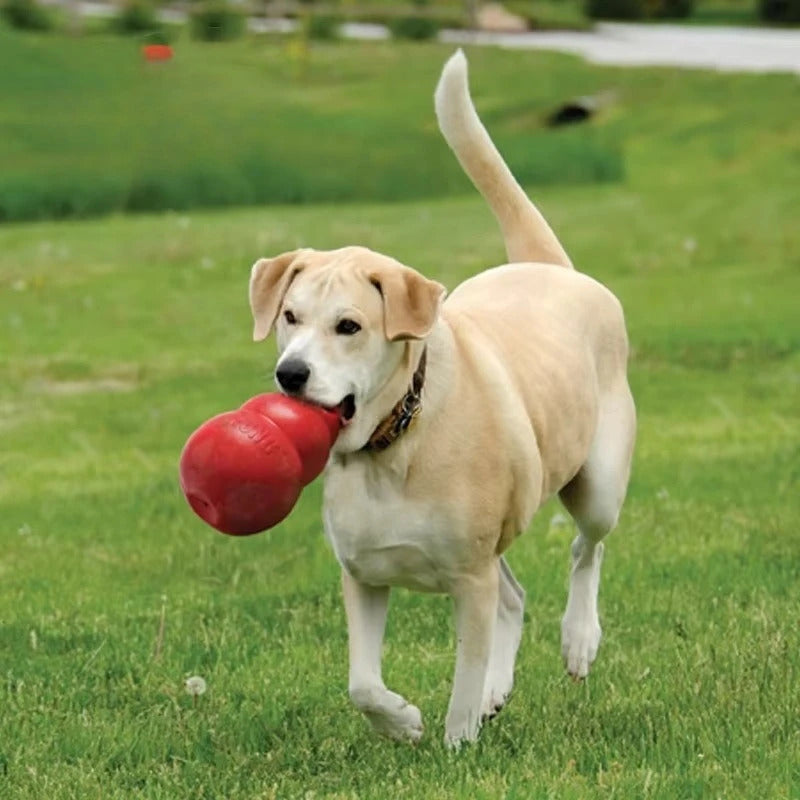 Classic KONG Dog Toy Durable Stuffable Chew Toy TrendyPet's Zone