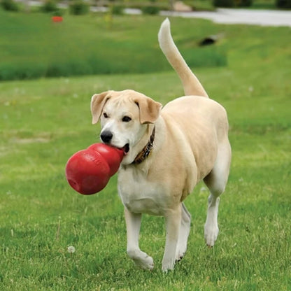 Classic KONG Dog Toy Durable Stuffable Chew Toy TrendyPet's Zone