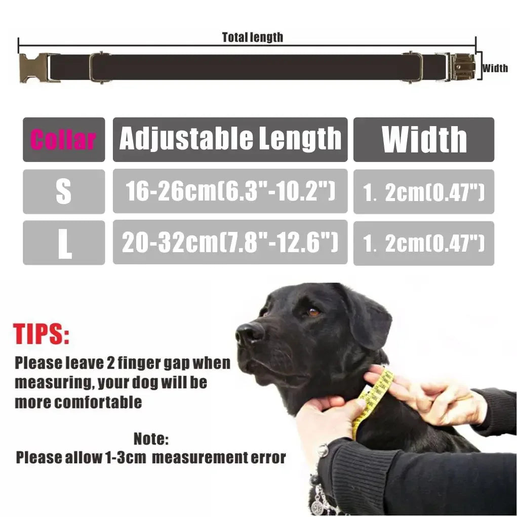 TrendyPet's Zone small dog collar with bell and personalized engraved ID tag for puppies, kittens, and small dog breeds.
