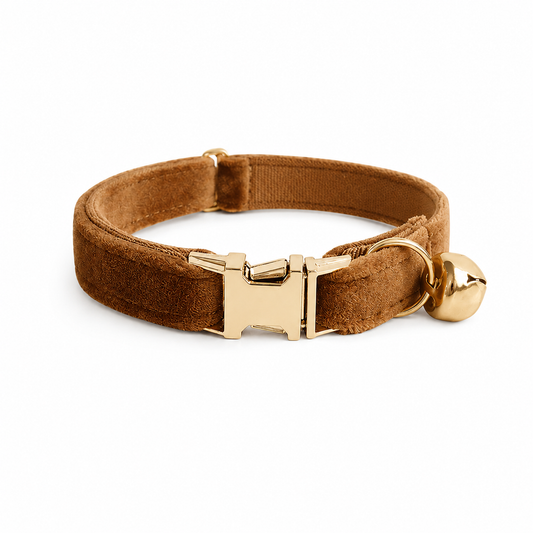 Personalized Coffee Cat Small Dog Collar with Bell and Engraved ID Tag for puppies, small dogs, bulldogs, and Chihuahuas by TrendyPet's Zone.