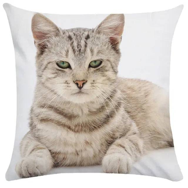 TrendyPet's Zone cushion cover with playful cat picture design, perfect for sofa or living room home decor.