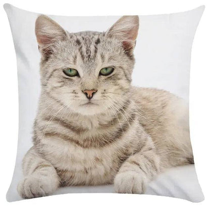 TrendyPet's Zone cushion cover with playful cat picture design, perfect for sofa or living room home decor.