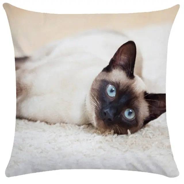 TrendyPet's Zone cushion cover with cute cat illustrations, perfect for sofa or living room home decor.
