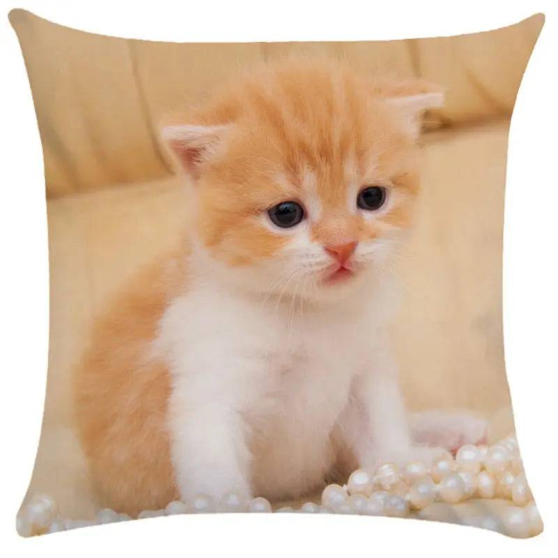 TrendyPet's Zone cushion cover featuring cute cat pictures, perfect for sofa or living room home decor on textile and pillow products.