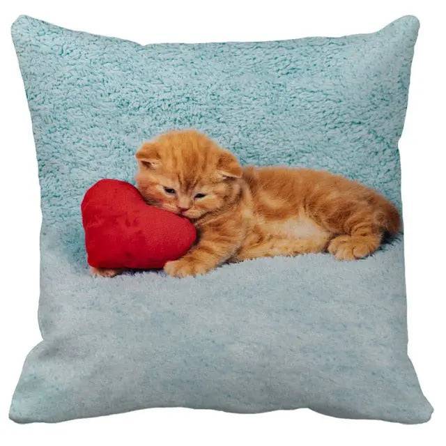 TrendyPet's Zone cushion cover with playful cat pictures, perfect for sofa or living room home decor, made of soft textile fabric.