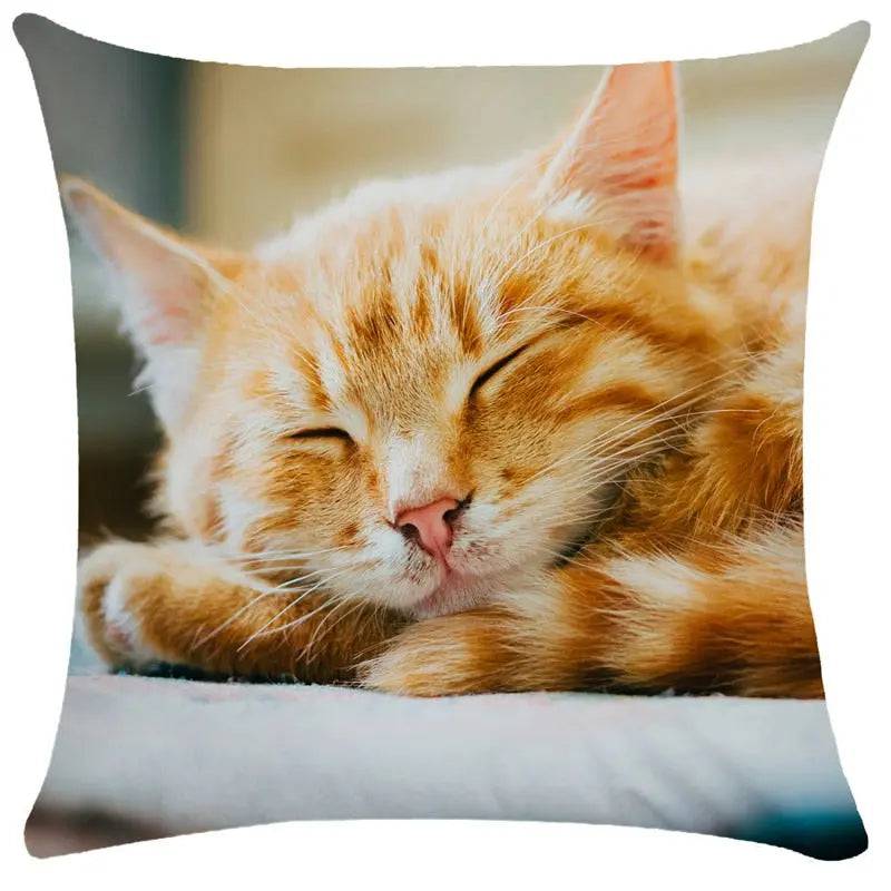 TrendyPet's Zone cushion cover featuring cute cat images, perfect for sofa or living room home decor, made of soft textile fabric.
