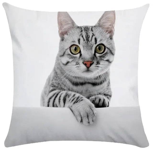TrendyPet's Zone cushion cover featuring cute cat pictures, perfect for sofa or living room home decor on textiles and pillows.