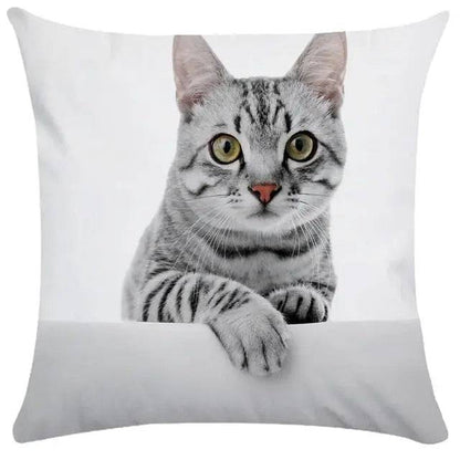 TrendyPet's Zone cushion cover featuring cute cat pictures, perfect for sofa or living room home decor on textiles and pillows.