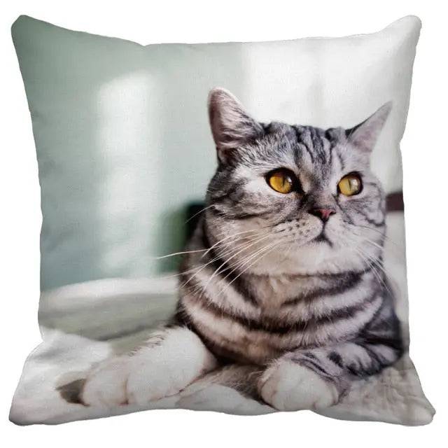 TrendyPet's Zone cushion cover with cute cat images, perfect for sofa or living room home decor, made of soft textile fabric.