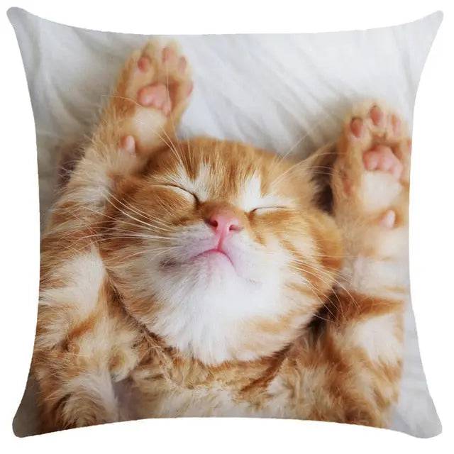 TrendyPet's Zone cat-themed cushion cover with cute pet cat images, perfect for sofa and living room home decor.