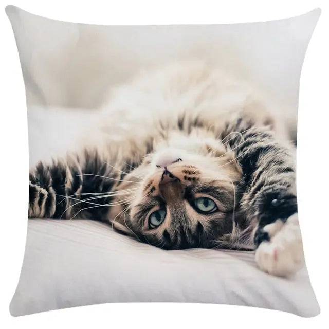 TrendyPet's Zone cushion cover featuring cute cat images, ideal for sofa or living room home decor, made of textiles and pillows.