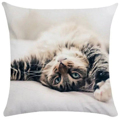 TrendyPet's Zone cushion cover featuring cute cat images, ideal for sofa or living room home decor, made of textiles and pillows.