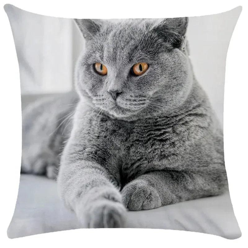 Soft cushion cover by TrendyPet's Zone featuring cute cat pictures, perfect for sofa or living room home decor.