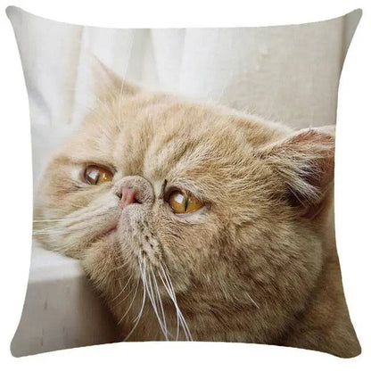 TrendyPet's Zone cushion cover featuring cute cat pictures, perfect for sofa or living room home decor, made of soft textiles and pillows.