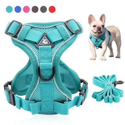 Cyan dog harness and leash set by TrendyPet's Zone with reflective, breathable vest and adjustable chest strap for secure walking.