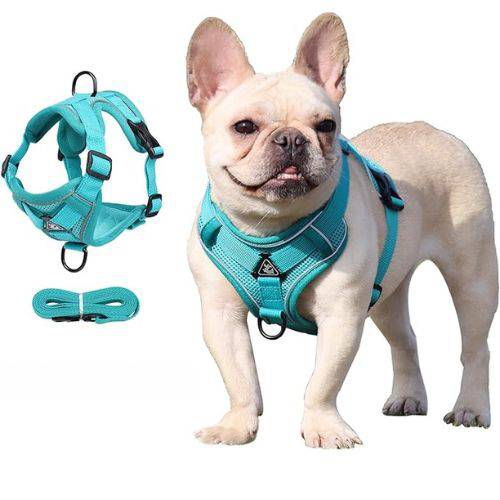 Cyan Dog Harness Leash Set Reflective Breathable Vest Adjustable Chest Strap - TrendyPet's Zone