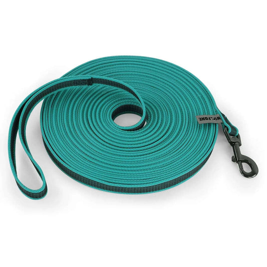 Cyan Dog Leash Latex Silk Easy and Convenient Training Big Dual Color - TrendyPet's Zone