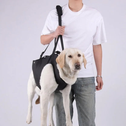 Cyan portable dog lift harness with adjustable strap and soft lining from TrendyPet's Zone, designed for easy lifting and support.
